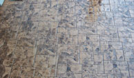 a mica/small/ardesia mare 02.jpg